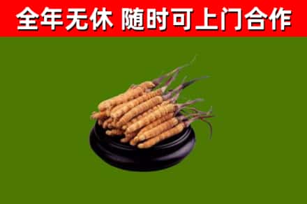 古塔区烟酒回收冬虫夏草.jpg